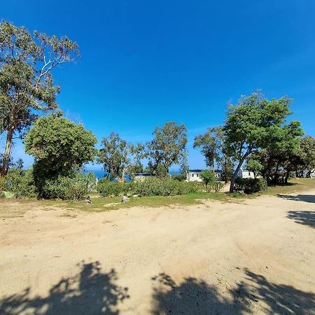 Calvi Mobil-Home Neuf Particulier Sur Camping リュミオ エクステリア 写真
